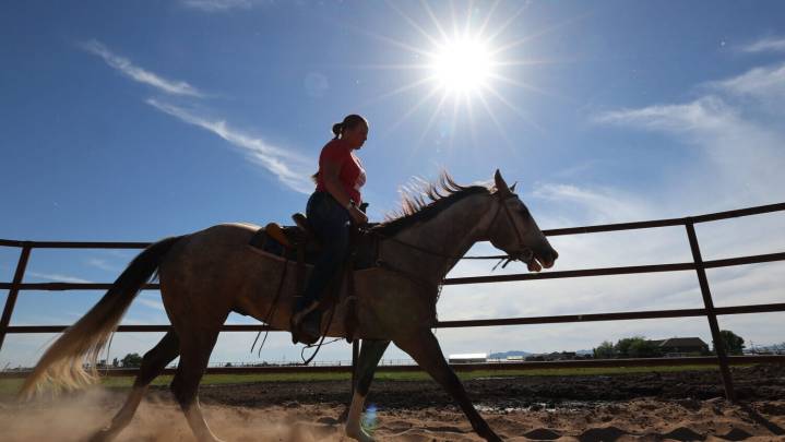 West Nile virus spikes among horses