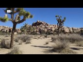 How the government shutdown will impact national parks