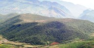 Tent ban in Deomali sparks livelihood crisis