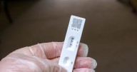 Covid cases and hospital admissions up as 'Stratus' variant sweeps across UK