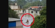 Murió la abuelita que sobrevivió a inundaciones en Poza Rica, Veracruz; ¿quién fue doña Elodia Reyes?