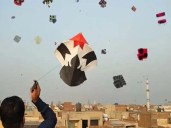 Violators to face fines up to Rs1m as Punjab plans Basant revival after 28 years