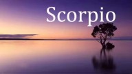 Horoscope Today, October 7 By Astrologer Sundeep Kochar: Scorpio, Healing Takes Time; Be Gentle With Yourself