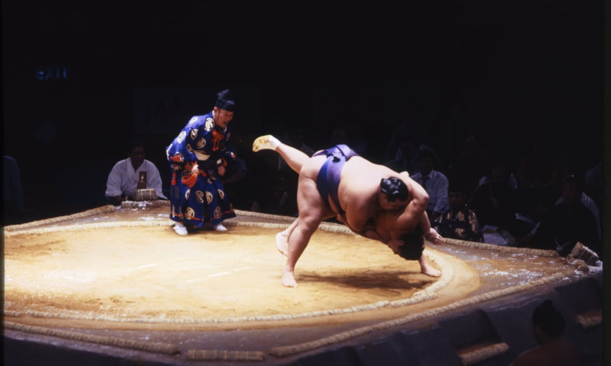 Sumo wrestling fans warned 'you might get squashed' as grand tournament returns to Royal Albert Hall