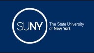 N.Y. Announces $10 Million Investment in SUNY Brain Research