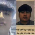 La Justicia de Perú definió que “Pequeño...