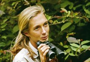 Jane Goodall, famed primatologist, anthropologist and conservationist, dead at 91