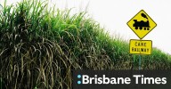 Australian biofuels industry: $1.1 billion investment aims to make Australia a renewable fuel leader