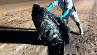 Newman space junk likely part of Chinese rocket says experts as authorities flag months