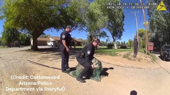 WATCH: Police officers wrestle loose emu in Arizona