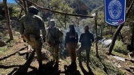 Localizan siete sembradíos de marihuana y tres campamentos en Nuevo Delicias