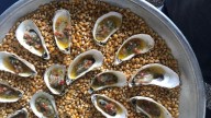 Tripadvisor says this Georgia is not only great, it's one of a kind