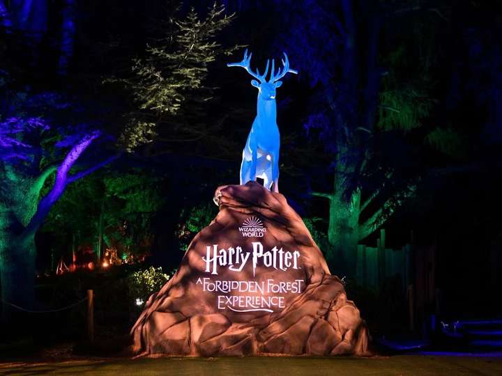 Michael Higgins: J.K. Rowling versus Canadian zealotry