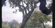 Camión del Ejército ingresa por error a Ciudad Universitaria durante desalojo