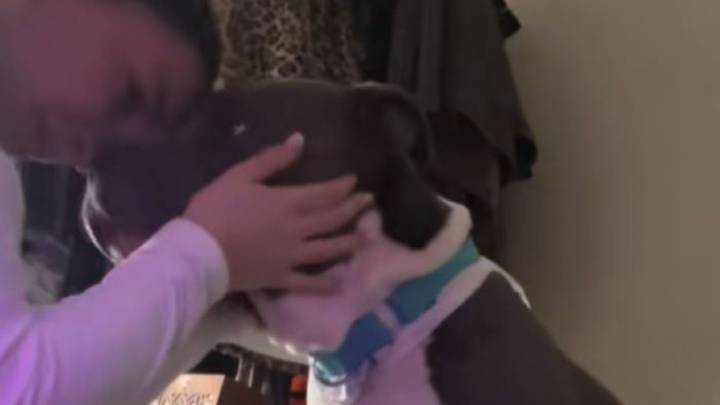 Georgia Woman Breaks Down After Housing Rule Forces Her To Surrender Beloved Pit Bull