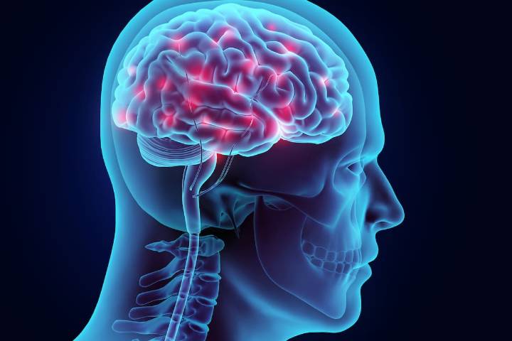 Científicos descubren que el cerebro de la mujer cambia físicamente durante la menstruación