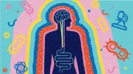 All You Need To Know About Gut's Role in Alzheimer's Disease