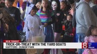 Hartford Yard Goats host Halloween Trick or Treat event at Dunkin' Park