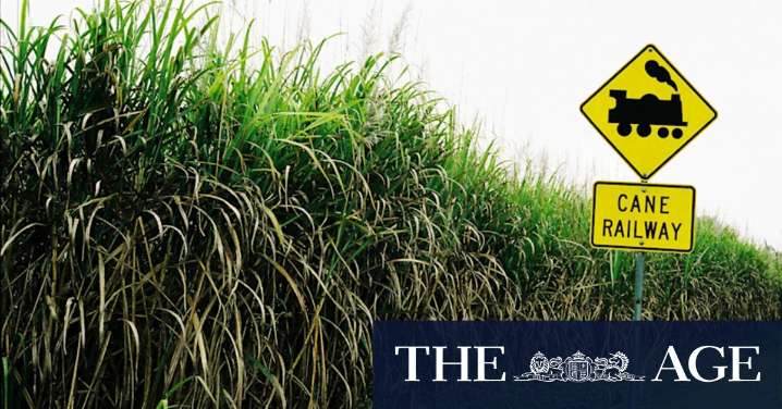 Australian biofuels industry: $1.1 billion investment aims to make Australia a renewable fuel leader