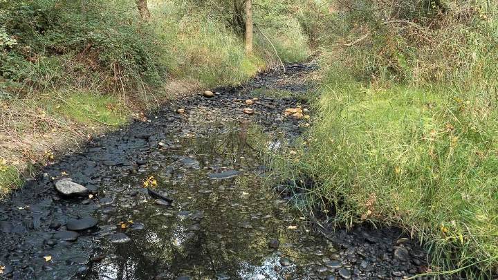 Ecologistas alertan a la CHE de un "fango negro" en el río Cinca