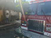Capturan víbora en casa del fraccionamiento Viento Huasteco