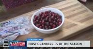 First cranberries of the season | Lunch Break with Michael Marks