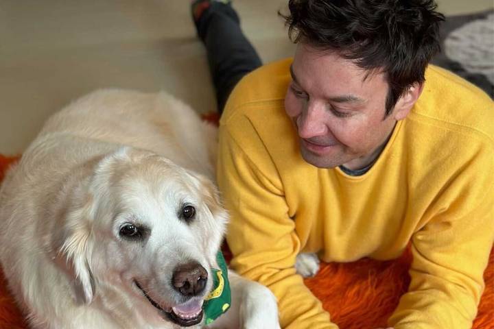 Jimmy Fallon Mourns Death of Dog Gary the Golden Retriever