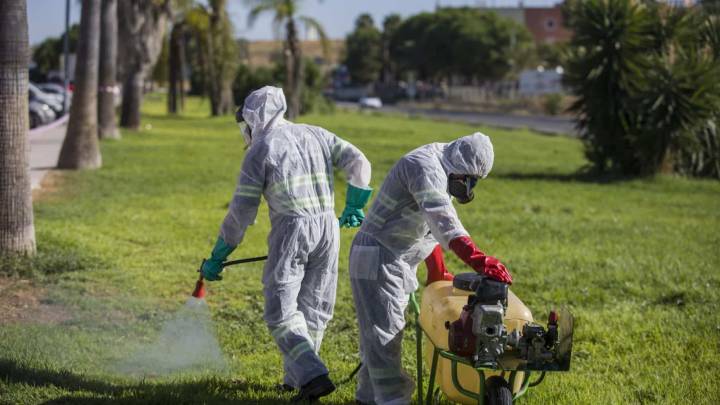 Coria del Río entra en alerta por la detección del virus del Nilo occidental en mosquitos