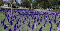 West Jordan displays scale of domestic violence with field of flags, pinwheels