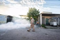Suman 151 casos de dengue en 19 municipios de Yucatán y con dos muertes; refuerzan acciones preventivas