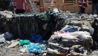 Impulsan novedoso modelo para gestionar y procesar residuos orgánicos generados en el Mercado Cardonal de Valparaíso