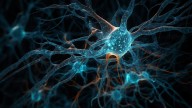 Scientists decode what happens when we dream: Does our brain wake up?