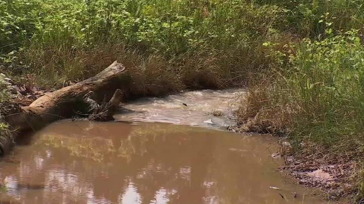 Saltwater leak kills dozens of cattle and wildlife in Caddo County, Gov. Stitt declares environmental emergency
