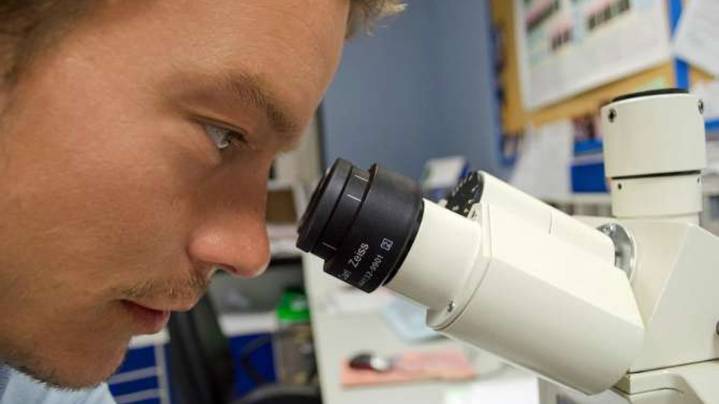El impacto de la tecnología moderna en el avance de la arqueología: del satélite al ADN antiguo