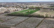 Centenario quiere ser la capital del agroturismo en Neuquén