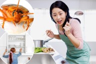 Landlord didn't help new tenants roach problem