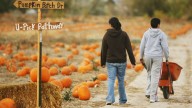 Utah Halloween Map 2025: Haunted houses, pumpkin patches and lights near you