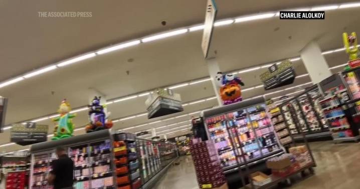Bear runs through aisles of Arizona grocery store