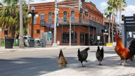 As Ybor City turns 140, we look back at Cigar City history