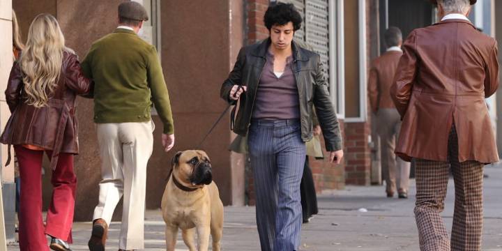 Anthony Ippolito Walks ‘Butkus’ the Dog While Filming ‘I Play Rocky’ With AnnaSophia Robb | AnnaSophia Robb, Anthony Ippolito, I Play Rocky, Rocky, Sylvester Stallonne | Celebrity News and Gossip | En