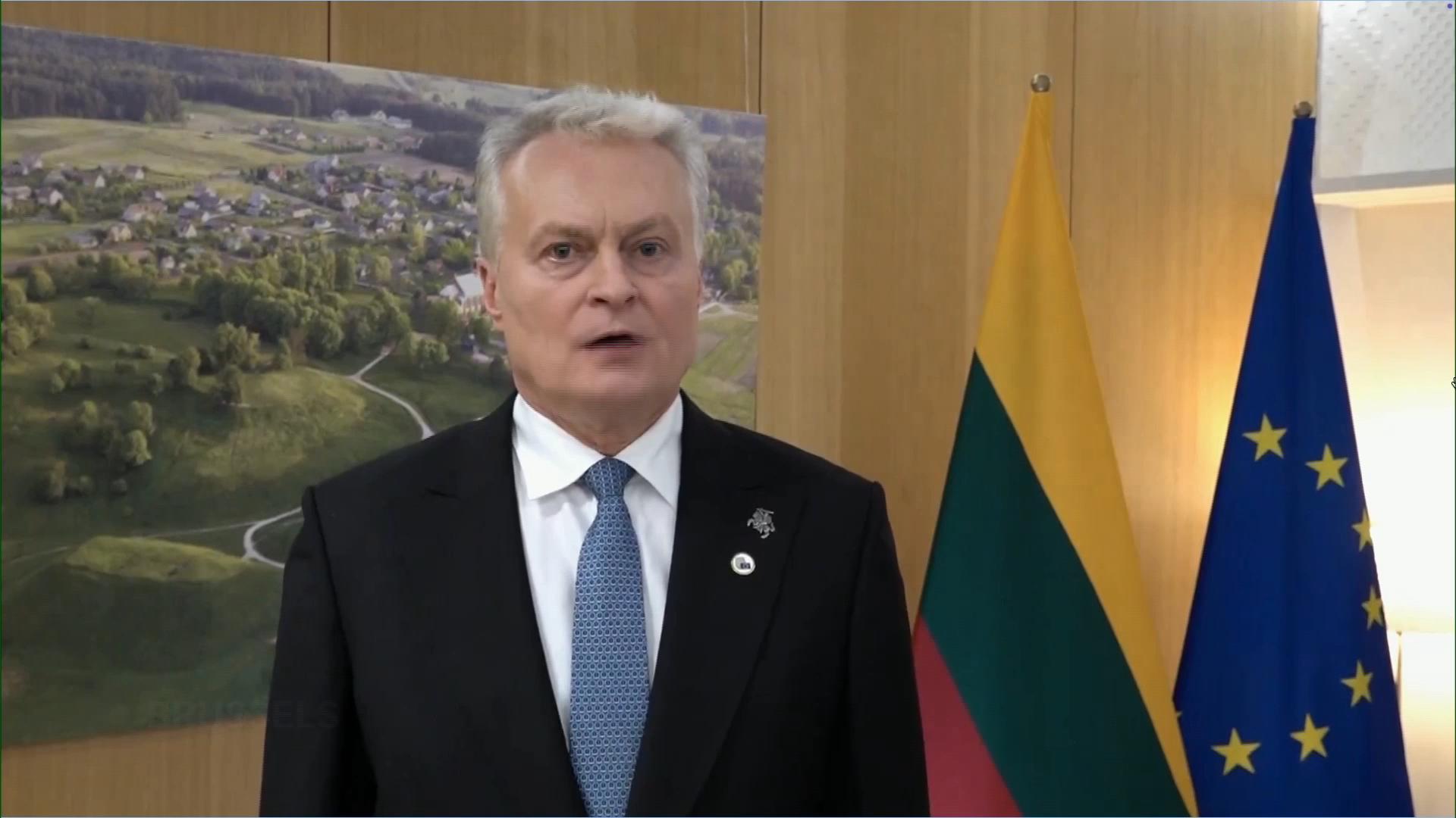Lithuania president condemns violation of airspace by Russian military planes