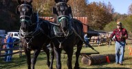 What to see, do and eat at Blue Ridge Folklife Festival on Saturday in Ferrum