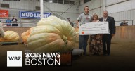 Giant pumpkin weighing 2,507 pounds breaks Topsfield Fair record