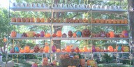 Amarillo Botanical Gardens spotlights community involvement in Halloween event