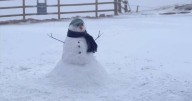 First snowman of the season built in Scotland as Arctic blast brings winter joy