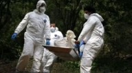 "Horror en La Plata, Huila: Padre e Hijo Asesinados en Medio de una Disputualmente Familiar"