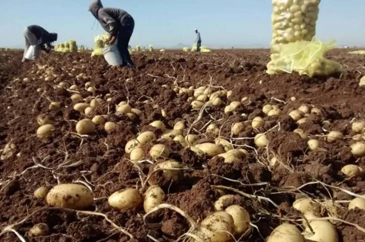 Por trata y explotación laboral: hay 17 víctimas, todas ellas santiagueñas