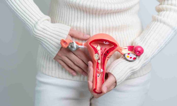 Psychological factors linking pelvic pain and health-related quality of life in endometriosis:...