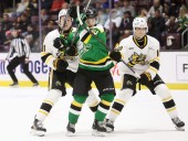 Sarnia Sting shut out by London Knights | Peace River Record Gazette