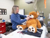 Q&A with a vet tech at the Wilder Institute/Calgary Zoo